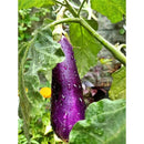 42044b71b38c1a0c0a2efb82dd0d3d6cad7c10a6582389859897d9918129909737363c3943473637393bda024732d242