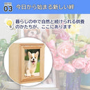 000064e80000fff9df33ef3febdfceff00df10bc52d8c8f746ff079120c06fc09c9c9c9c2b2ba4a34d131a01361800f7