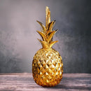 ff00ff80ff80ffc0fe80ff80fe00ff207f707ff03ef0056004201c2ff803fe0ee4f0cea4f0f2dea0bcf118b39ace15b3