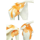 fffffd0ff00fe00fc89fc83fc07fc6ffffffffe3c7831701c180018901812fc3