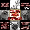 07e007e007e007e007e2ffeecffe8eee7f7036c817e807e007e2066004600660