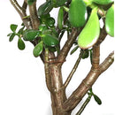 7e19fddfd99ffd8bfef1f8e7fcffcffdfffffbaffbfeffdffffbfdfffdfffdb8