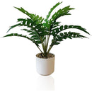 ffffffffffd7fbaffcdff01ff80dc0c1fefffe3ffe3ffe3fff3fff3fffffffff000000000000000000002b0000002200