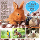 ffffffff9ebfb63ffc3ff63ef925e802d8002c0c1820dda4fd801b062819368bfef700fcfe080f8e12150db2f52b3c1c