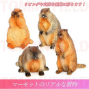 fffffd02ef3fc65fc61fc61fc307c307c303f8c3f0e3f063f060f0c3ffff10008000000000171500000f1a1200161712