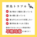 00007fff7fff6beb7fff7cbf7fff6fff6fff6fff6dff7fff7fd770ff643f7fff22222222220000002200000022000000