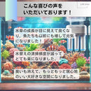 6180fcdffd1f636d01e09ffd9ffd9f816b01bff09fe1240194483ffc80001ffcf2f90bf18c8b81928418a999860b2bff