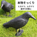 ddff93f959ff112781ab03ff0de789c2fe47f802000f8017801fc0feb078128f33350000353200003232ae3032323131