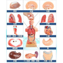 ffffe739c6b18004d47597f483e4fe39ee398220d435ba37fcffefff8697eff3000000008901080386000e0c862b162b