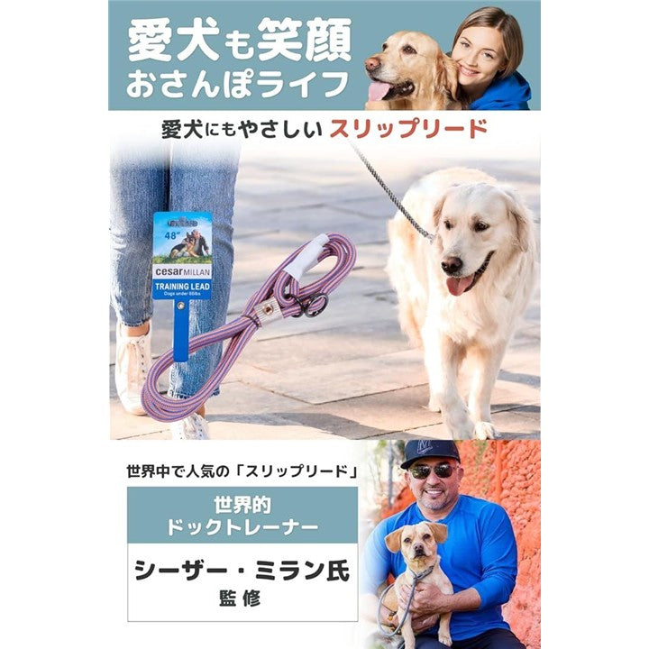 0000409e0700f9ef9fff873fa65aa05b87bdc7ffcf0effe080209a30aed0fff08b8b8b8b809a090bd59cc700008888fe