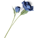 ffffffebffe1ff61fe01ff27ffcfffbffefffffffffffdfffffffffff7ffffff0000000000009d9c0000000000000000