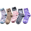 fffffffffffffe7fd249c049e8b9d192c080c953c101a309e291d39fffffffff0000000000109c00009af99e0013e6b4