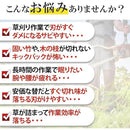 ffffa30fffffffe1fff8fff9fa869efe3ffdc5b9daf1fff1fff9ffe4c4fb93f400000000000000ab369c00240047001f