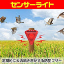 00001b340000ffffffffbbfbfff3f77ffe3ffe1fff7f0316e001344129000f750000000095929696938fe3922b2e172a