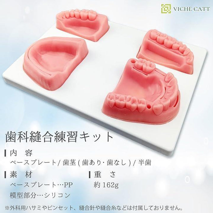 歯科縫合練習キット 模型 ツール