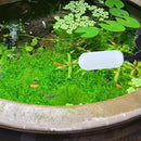 000100d000e8418f7220000484bd80fea8e30925014b8c03fffffffffffc000014354858384144463c443d422e19331f