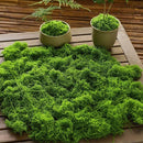 c500fa0084197c03f9eef8e7c007d8f1accbf084d54f0460220574248018c8031813101c15152227373a393a38404241