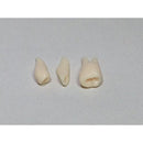 0000c000e800f800ff80fff0f698f4a8ece8f00cff80fff0ffe0ffc0fffcfff8