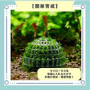 ffffffdfdffde401d009c001c001c101c181c001c005c005e001e9cfc3ffffffb393939382351a328230241782253c18