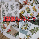 ffffffc4ee9beabfbfa4fe9797bbc080c80dd0e0ec86d8fe91bea08cb8f39def00d5d52b009c55322b80ff0033152ba0