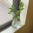 fe1efe1cfe0cfc0cfa0cfc9cfe1cf938fe38de38f978e2f882f004e00fc03f00