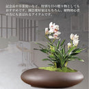 000024228150e000e0002060e260f206fea4ff0cff88ffc9ffc4f807f787f80109f5ebeb09f21ceb1beb13f5abeb0b17