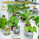 ffffee21e51ff0d5e23ff0c4f900d8889904809680e699658371ddf2c7fffff73600d58080555c872e924d3e402d7c40