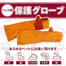 ffff60006e2060008001f80f800f80078001d001f0ffffffffffffffffff9249