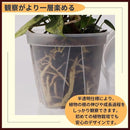 00000abf781f700f64077803780778077a077c077c877e077e737f657fff7fcf010101010119302e01fbbdf201f5161e