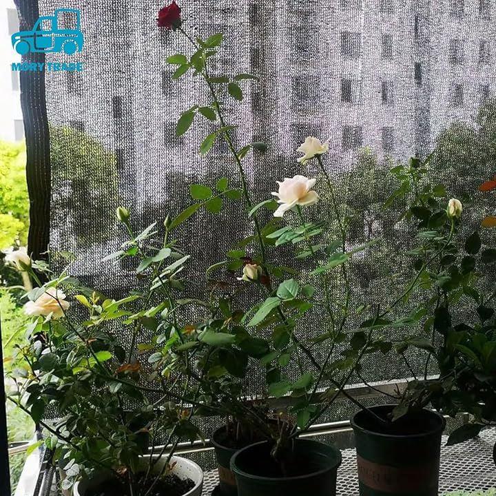 bf7bfdffedffbfdfb5cf9ebd9c3280288c802044f4040000442000006020420000abd0c022b2dcca2eab24368037444a