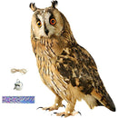 fffffffff5fff0fff07ff47ff03ff01ff80ff80fe80ffc07fe078603f8abfe3f00000000001a1a0000001b0000001b19