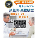 ffff85b996ff8780f09af1b211bf118701fe9c8efc0efc0dfffff9fff3ffe00f00000000008d0000090000009aa29c9c