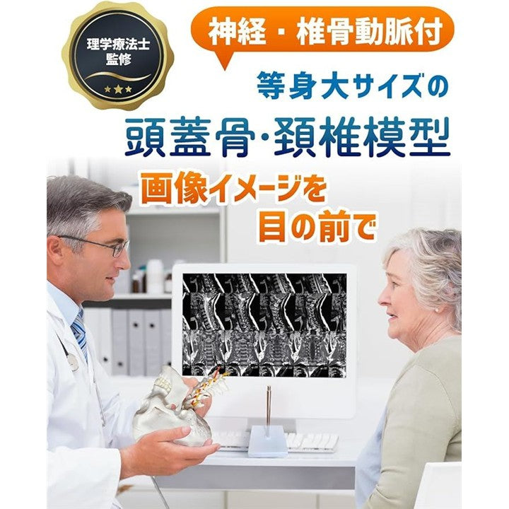 ffff85b996ff8780f09af1b211bf118701fe9c8efc0efc0dfffff9fff3ffe00f00000000008d0000090000009aa29c9c