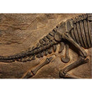 fffebffcfff18ff37fb5bf40de00be00fc30f07b01f90368c0f80736020c0007