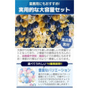 ffff00001f6e890088040204038103c521c8f47892bfffffffffffffffffffff80818484171f17929c97220075909092