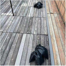 ffffffffc095cdb1c031ec19d811f411c0afc789c303d20bc005c505c505ffff0000000000b39b1100929f2e00139911