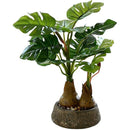 ffffffffff9fed3fc047f09ff007e007f80fff5fff5fff5ffe1ffe0ffe0fff3f00000000003c493f0000310000001d00