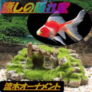 8000f150f372006200fc01fc81d4142103800efc3c7bf85ffc6ff9e7ccb73ca78a1e8b4a464801ff2012361717383435