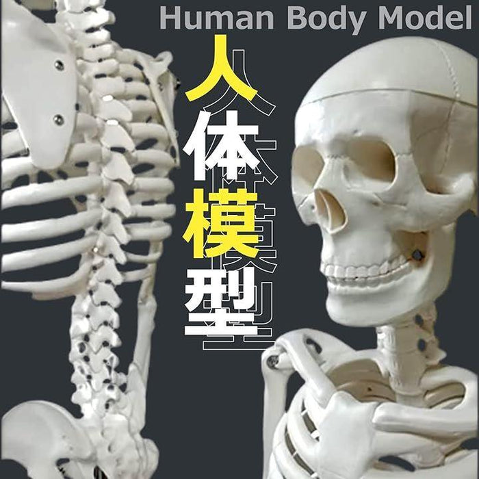 07ff00b9389c6d094dacb7c41e8120