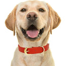 fffffffffd97e843c821c421c029c003f00ff80ff80ff80ff00ff207f10ff40700004700001217130017fe1c0018041f