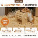 fe3ffe3fb769ffff00000000002c000000007800000000046fffffffffffbd7d00001189171412161c19181719001d00