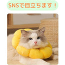 fffffffffe27ffffe003e003e003e003e803e003e083e203f003e003e643e3f300000000001617150021151600172021