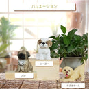 fffffffee002fffcbff81fe83ffa3fc1be803fa033c003e003e133f3dde5510f00d50020292b2b202280924317241c21