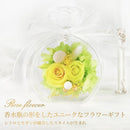 ffffffffffeffaf9fffff47bfc1fd807fc0ff80ff80efe08fe0fc7ffbcbffbdf0000002b001c2222222b1d331c222f2b