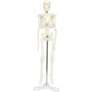 fe7ffe7ff83ff83ff83ff81ff81ff83ff83ffc3ffc3ffc3ffc3ffc3ffc3ff01f