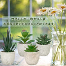 0267c207001e007a00ee007e5736006505ff08868846077bce3dffff7ffeffff332f35322b49323541353b289b9f4a24