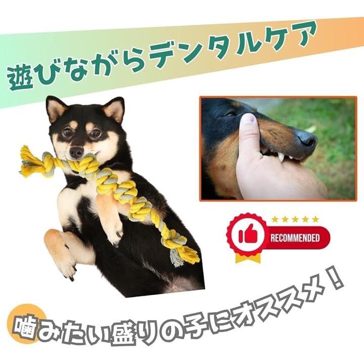 ffffff80f9a1bfffff80e390e7908398e99cf4ffe441f06ff87dffffeb0fffff0000000067d5000d0019000400000b00