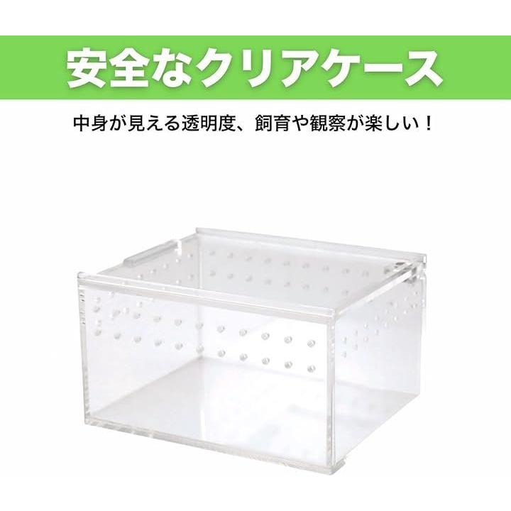 00001d080000fedffffffffffffff00bf50bffd3fefff9ffeffffeffffffffff494949490000000000099cc700ababb0