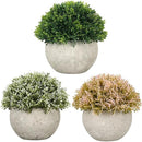 fffffc1ff80ff80ff80ffc1ffffffd1ffb3fc0e980808080c1c1c9d5c9d1e3e30000000000005d00002b1f22001e001c