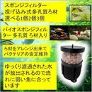 ffffebfaf5bad6f4bfe0fba0b38cbbf8fb96f1a2ff2afbe2ffe2ffe0ffd4dfc0602b0080007f5e3f6b2b2b6b802b2b00